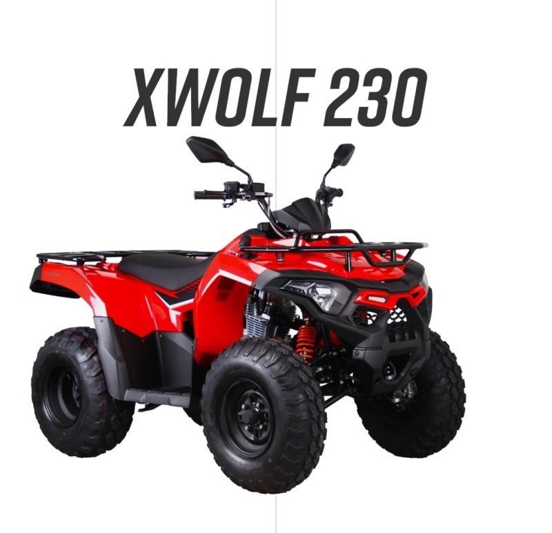 WOLF 550L  - 2026 - VERANóPOLIS