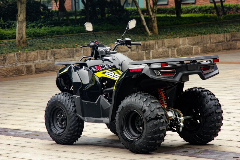 WOLF 550L  - 2026 - VERANóPOLIS