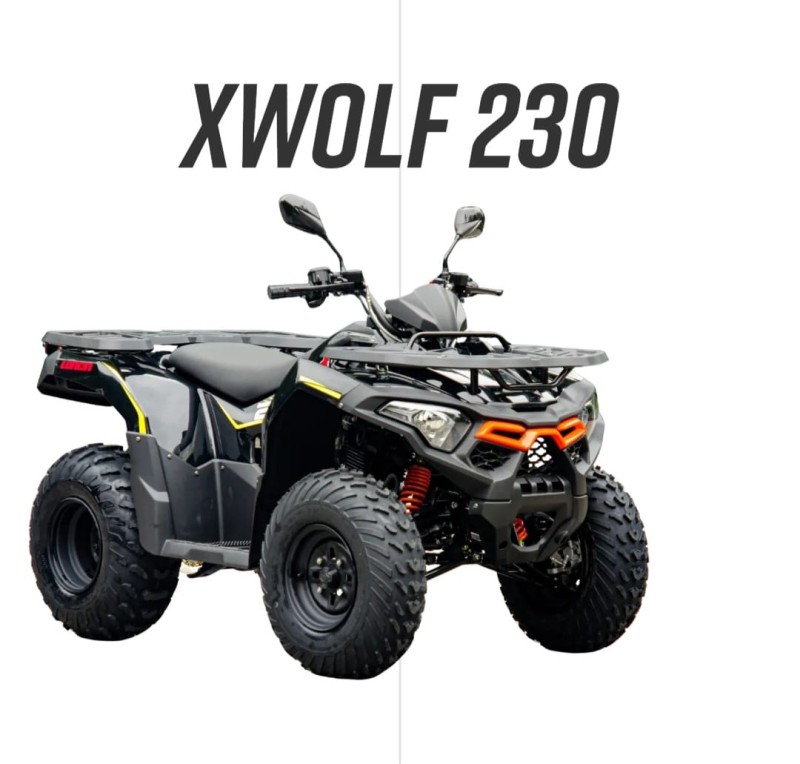 WOLF 550L  - 2026 - VERANóPOLIS