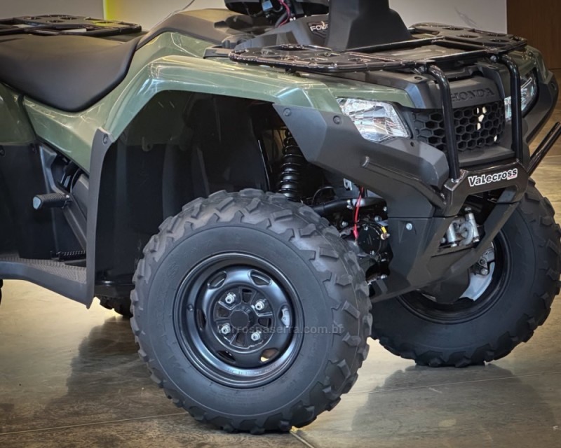 FOURTRAX 420  - 2024 - GARIBALDI
