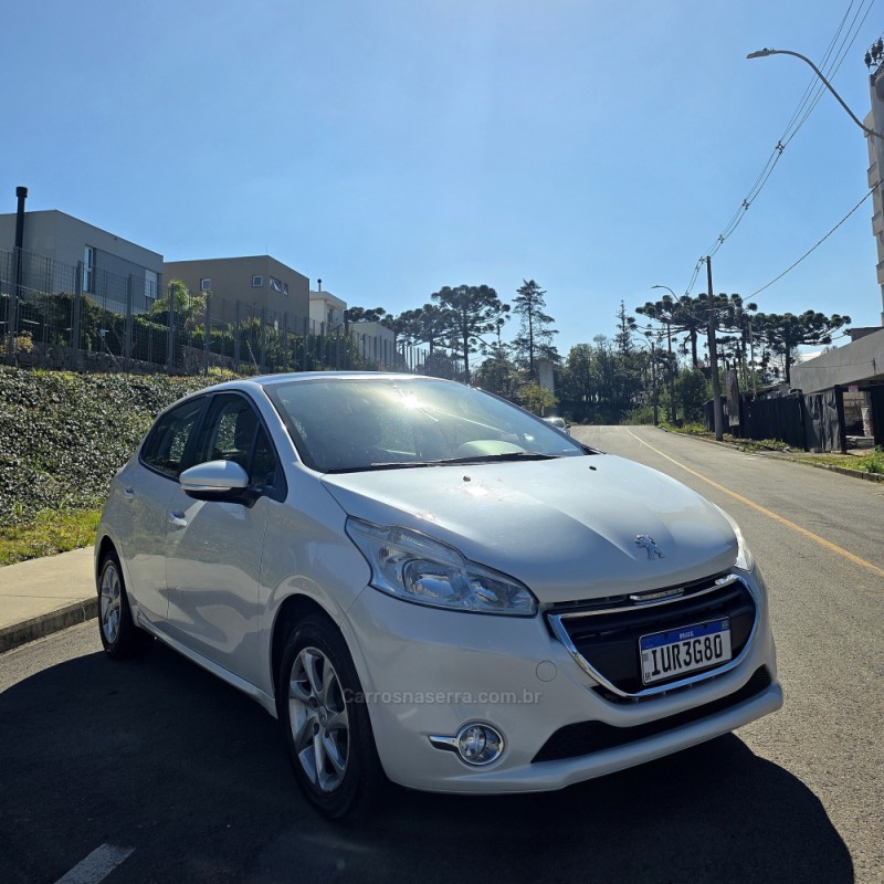 208  - 2014 - CAXIAS DO SUL