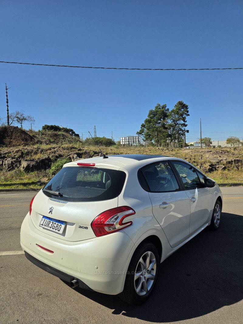 208  - 2014 - CAXIAS DO SUL