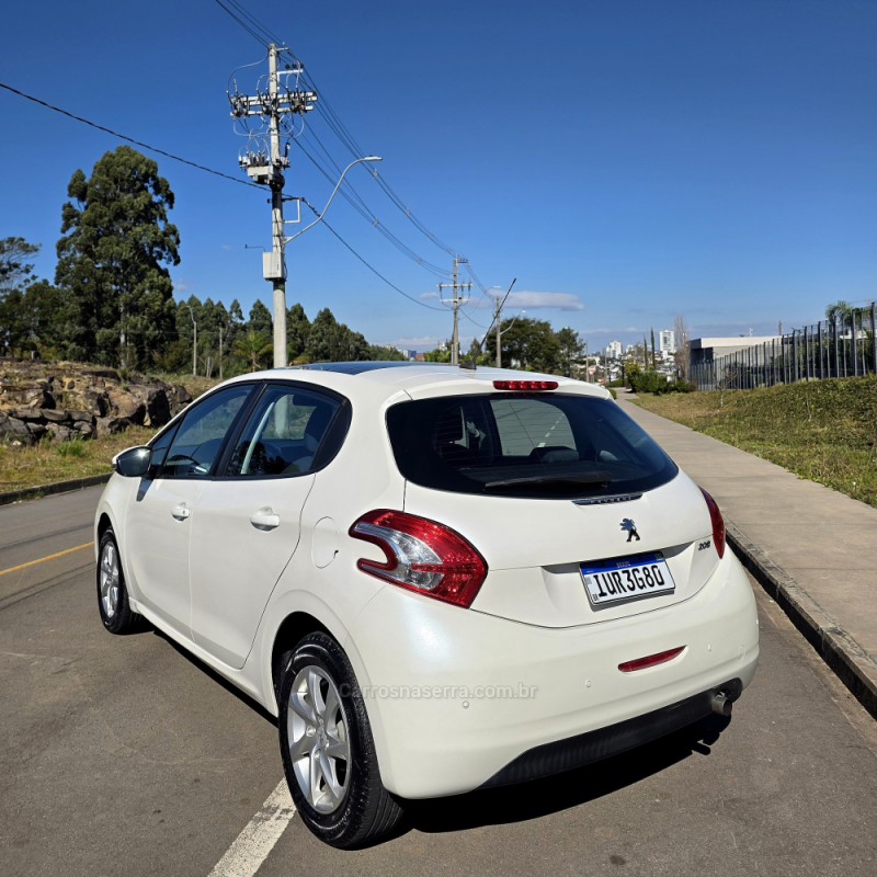 208  - 2014 - CAXIAS DO SUL