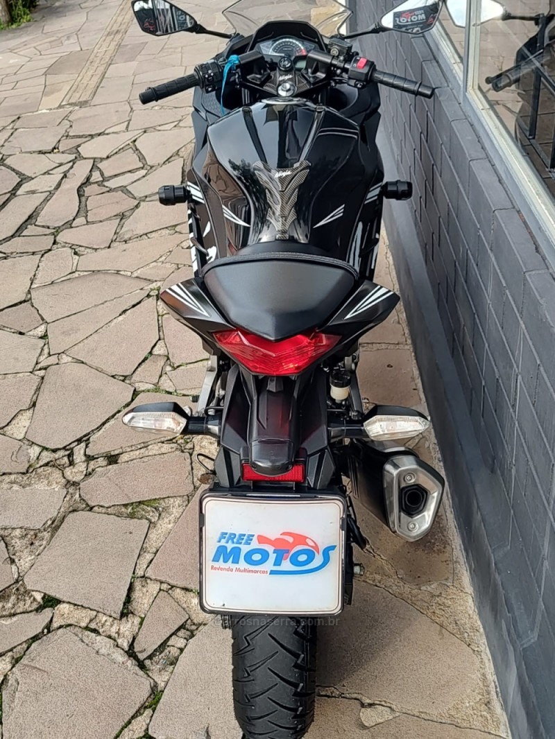 NINJA 300 ABS LIMITED EDITION - 2018 - FLORES DA CUNHA