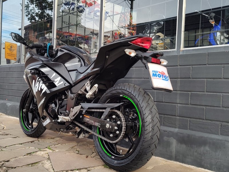 NINJA 300 ABS LIMITED EDITION - 2018 - FLORES DA CUNHA