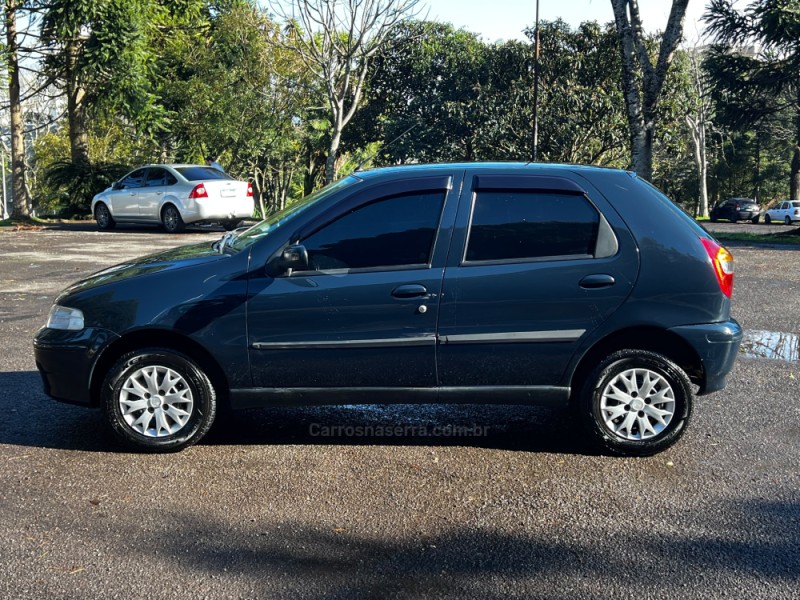 PALIO 1.0 MPI FIRE 8V FLEX 4P MANUAL - 2007 - FARROUPILHA
