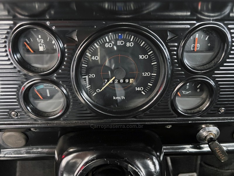 F-1000 3.9 SUPER SÉRIE 4X2 CS 8V TURBO DIESEL 2P MANUAL - 1983 - FLORES DA CUNHA