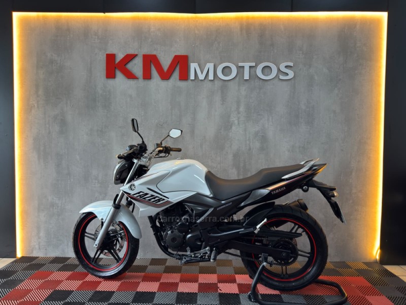 FAZER YS 250 BLUEFLEX - 2015 - PORTãO