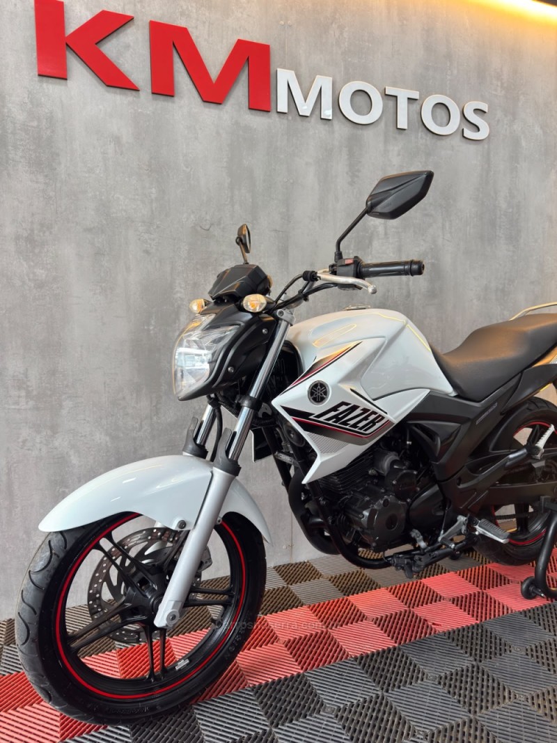 FAZER YS 250 BLUEFLEX - 2015 - PORTãO