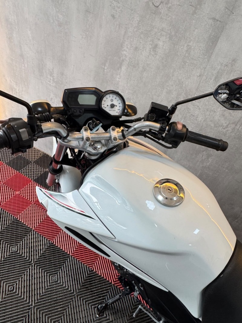 FAZER YS 250 BLUEFLEX - 2015 - PORTãO