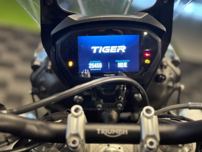TIGER 800 XR  - 2020 - FARROUPILHA