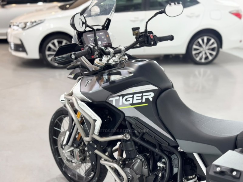TIGER 900 RALLY ARAGÓN  - 2024 - ESTâNCIA VELHA