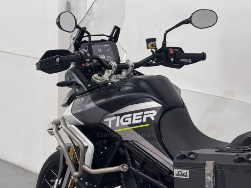 TIGER 900 RALLY ARAGÓN  - 2024 - ESTâNCIA VELHA