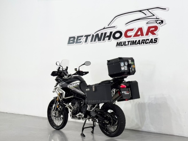 TIGER 900 RALLY ARAGÓN  - 2024 - ESTâNCIA VELHA