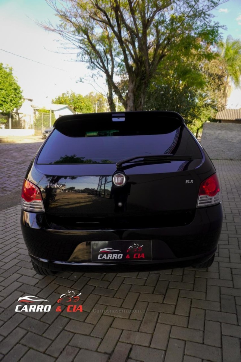 PALIO 1.0 MPI ELX 8V FLEX 4P MANUAL - 2010 - SANTA CRUZ DO SUL