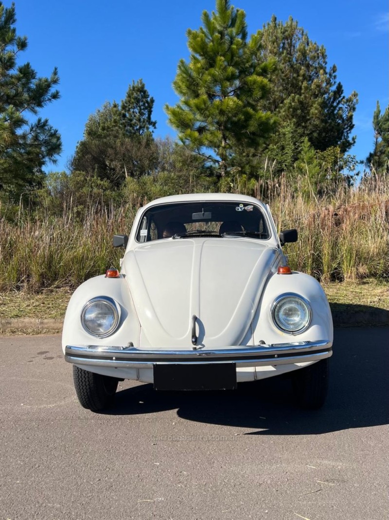FUSCA 1.5 8V GASOLINA 2P MANUAL - 1986 - CAXIAS DO SUL