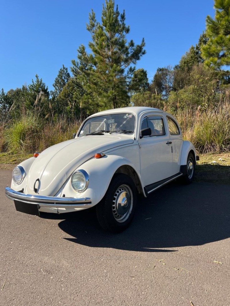 FUSCA 1.5 8V GASOLINA 2P MANUAL - 1986 - CAXIAS DO SUL