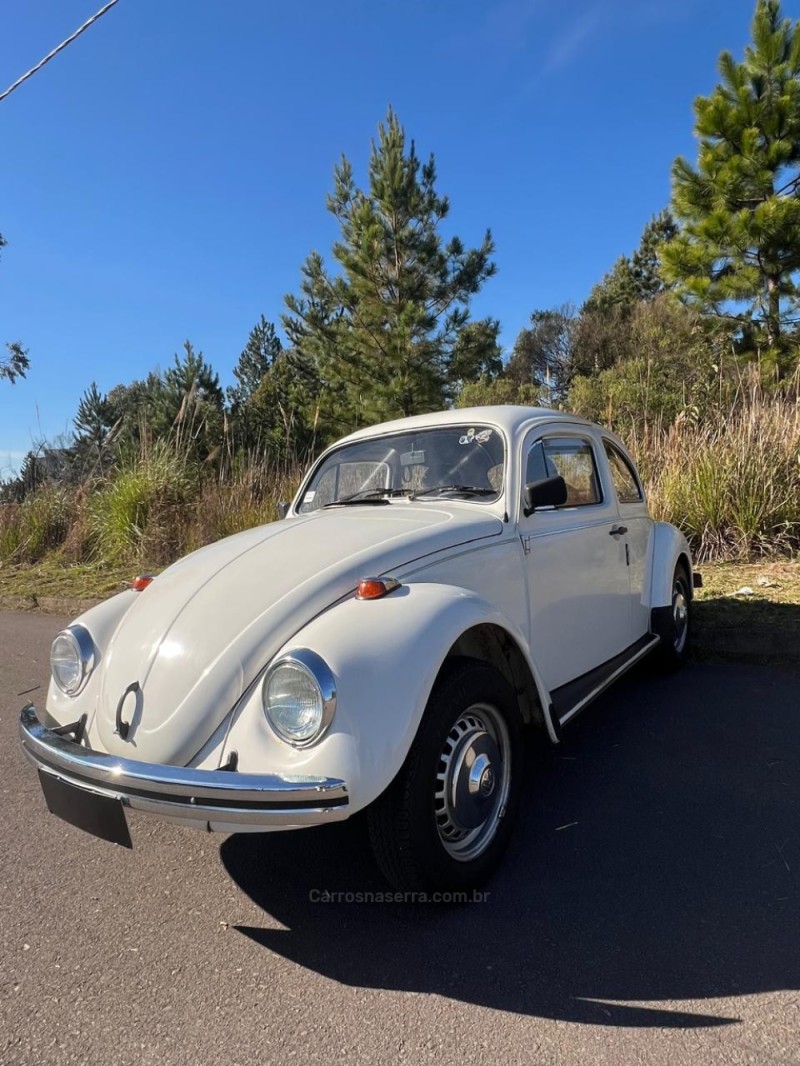 FUSCA 1.5 8V GASOLINA 2P MANUAL - 1986 - CAXIAS DO SUL