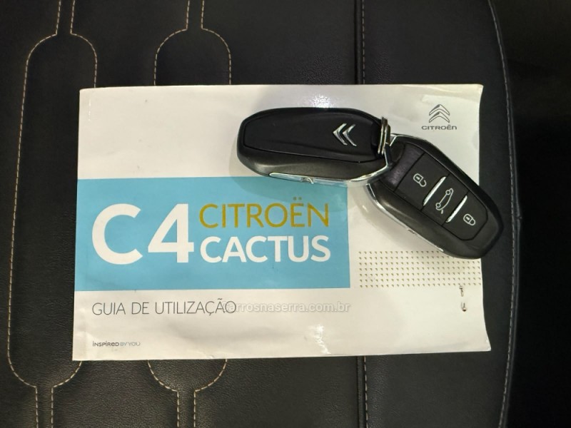 C4 CACTUS 1.6 THP FLEX 100 ANOS FLEX 4P AUTOMÁTICO - 2020 - NOVO HAMBURGO