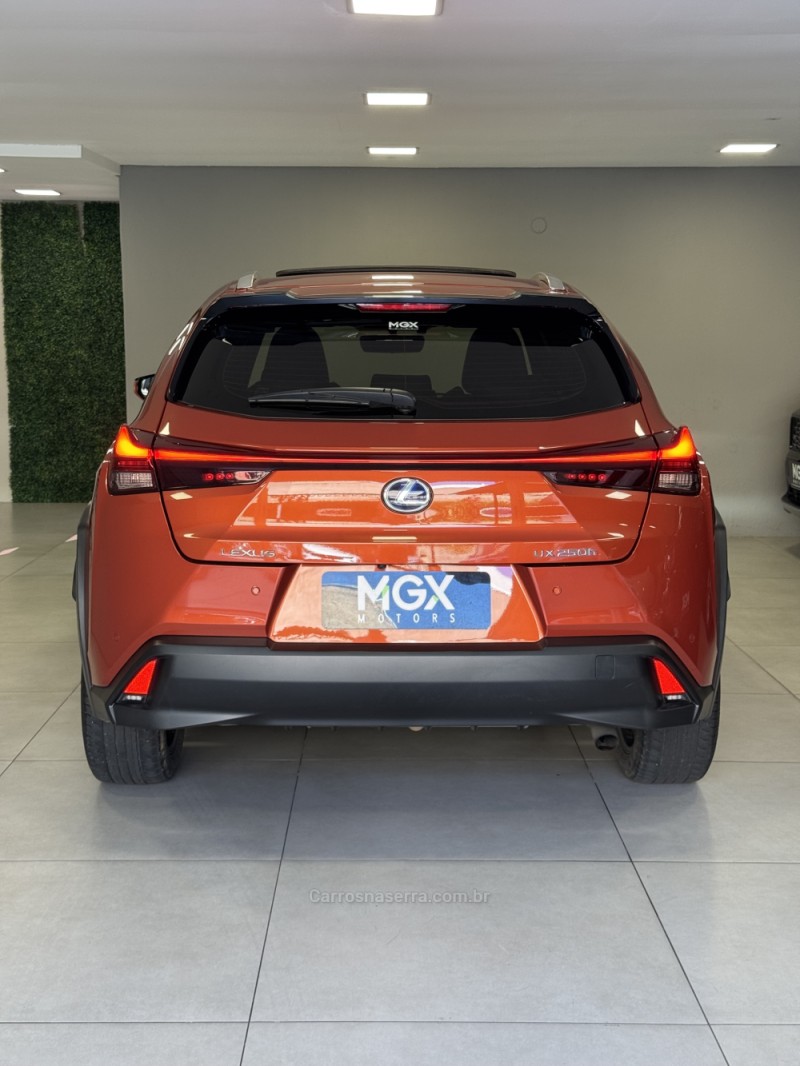 UX 250H 2.0 16V LUXURY HÍBRIDO 4P AUTOMÁTICO - 2019 - PORTO ALEGRE