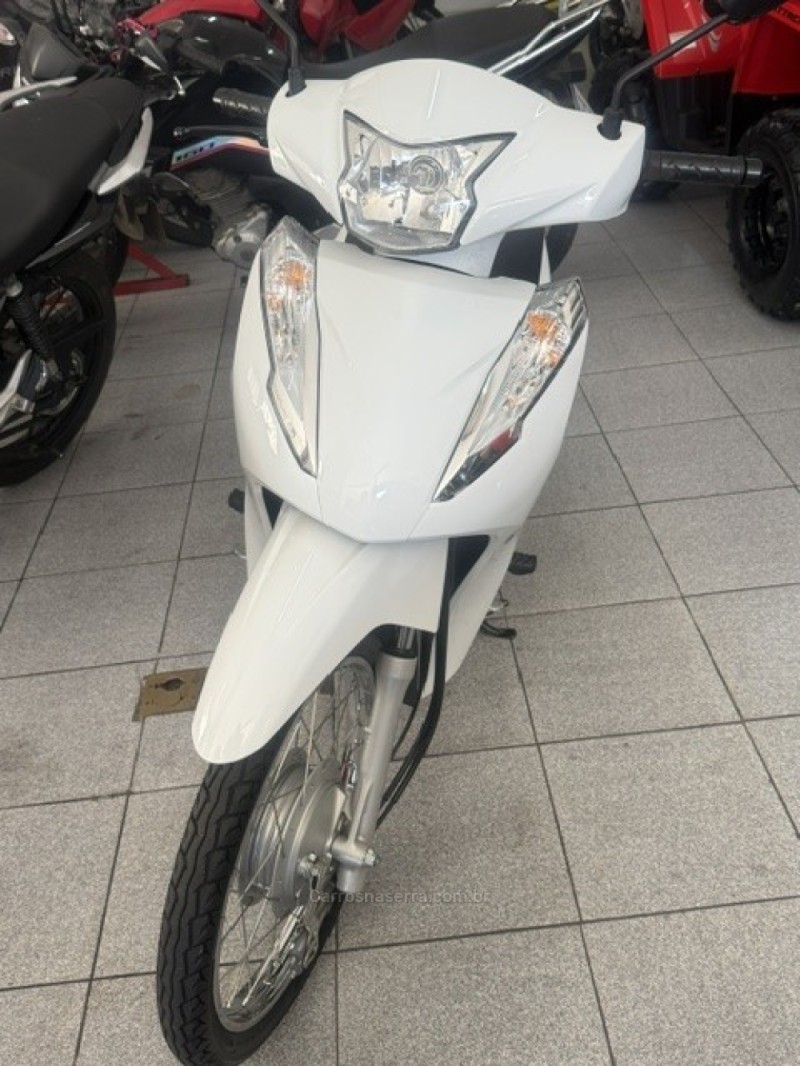 BIZ 110I  - 2021 - GARIBALDI
