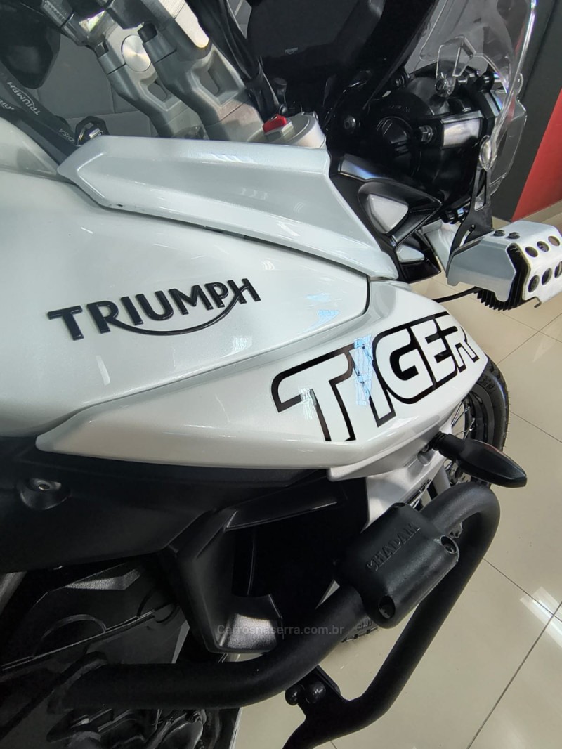 TIGER 800 XCX  - 2019 - CAXIAS DO SUL