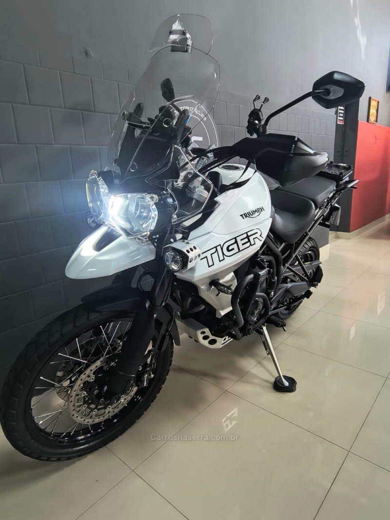 TIGER 800 XCX  - 2019 - CAXIAS DO SUL