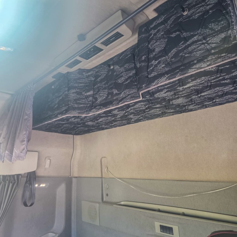 FH 460 GLOBETROTTER 6X2 - 2021 - GARIBALDI