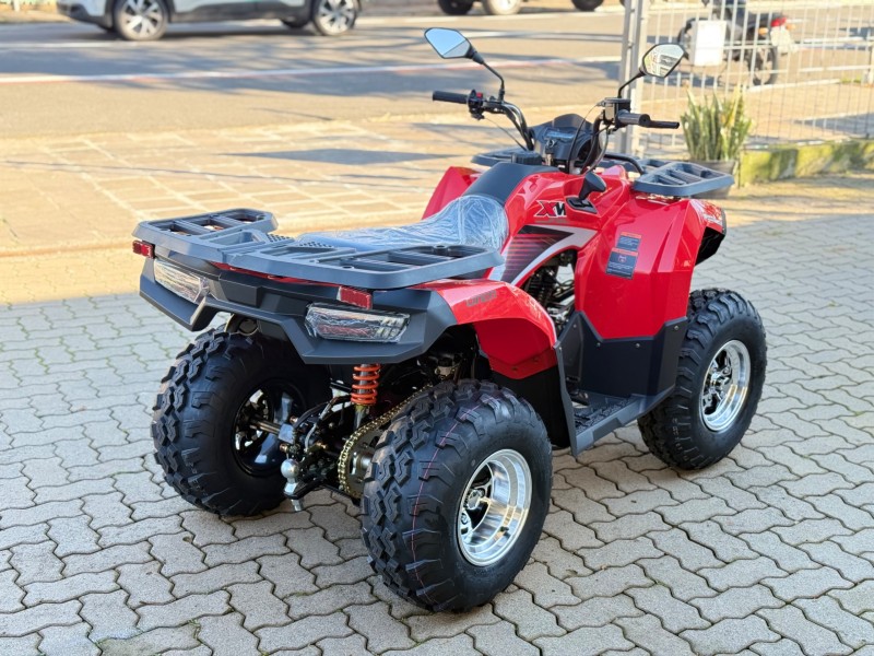 X WOLF 230  - 2026 - BENTO GONçALVES