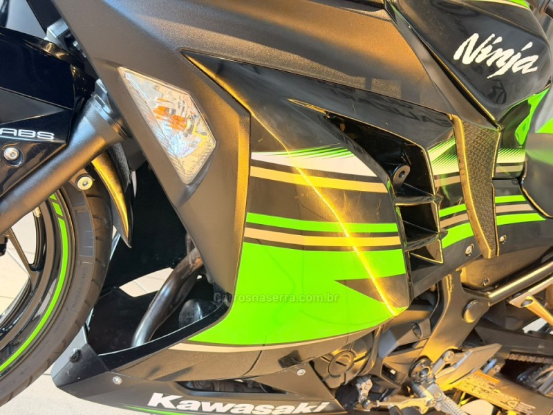 NINJA 300 ABS LIMITED EDITION - 2017 - CAXIAS DO SUL