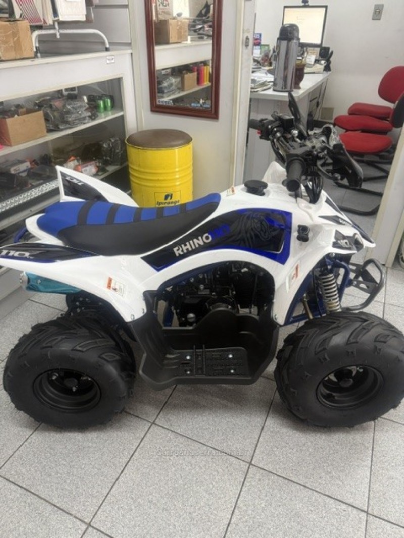 rhino 110cc 2027 garibaldi