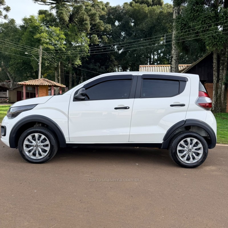 MOBI 1.0 6V FIREFLY FLEX LIKE MANUAL - 2025 - VACARIA