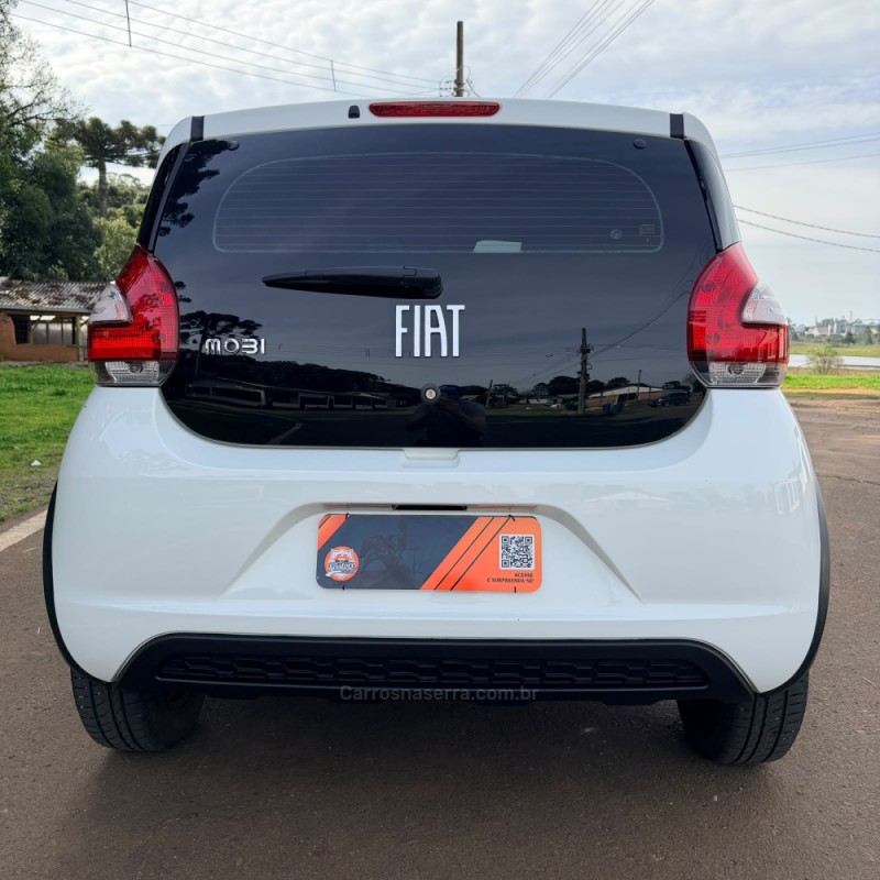 MOBI 1.0 6V FIREFLY FLEX LIKE MANUAL - 2025 - VACARIA