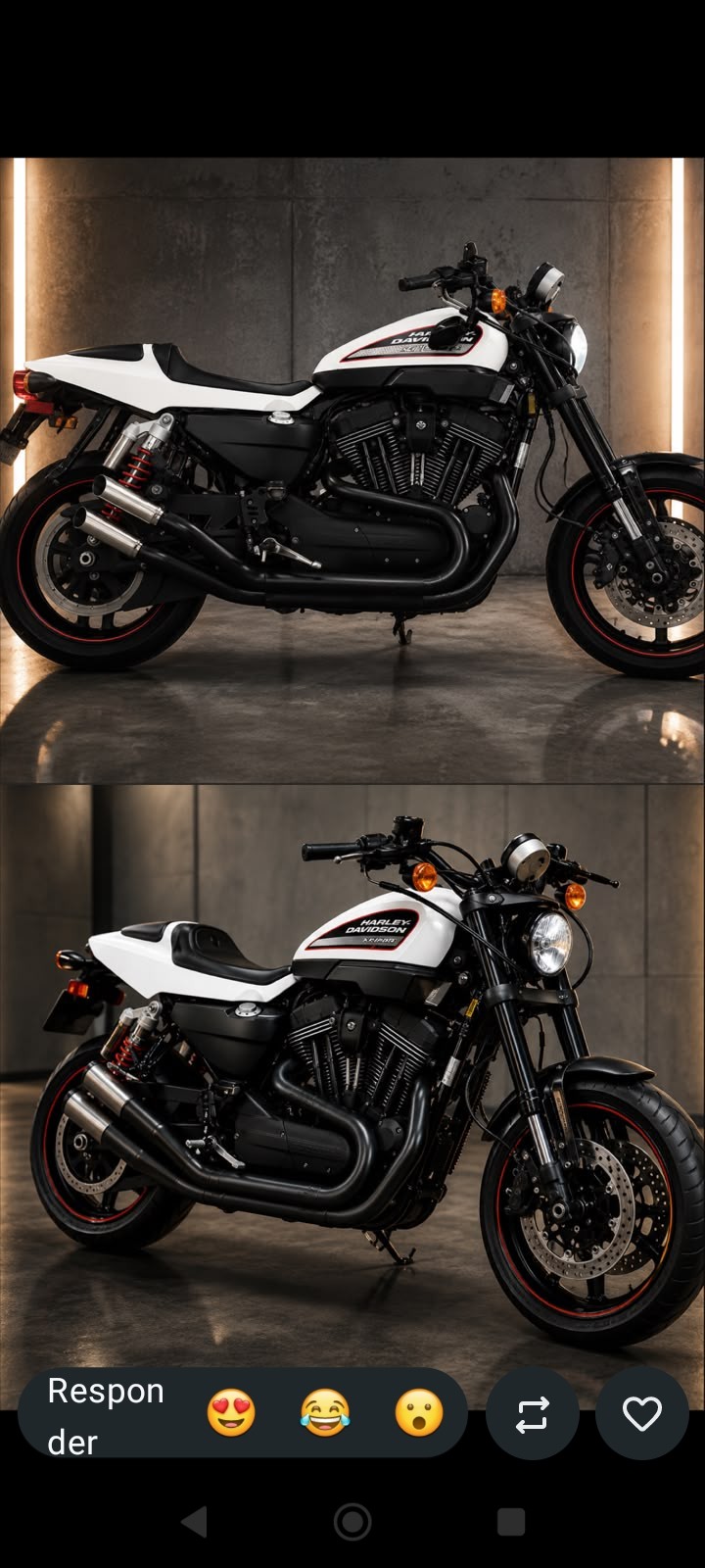 sportster 1200 custom 2012 caxias do sul