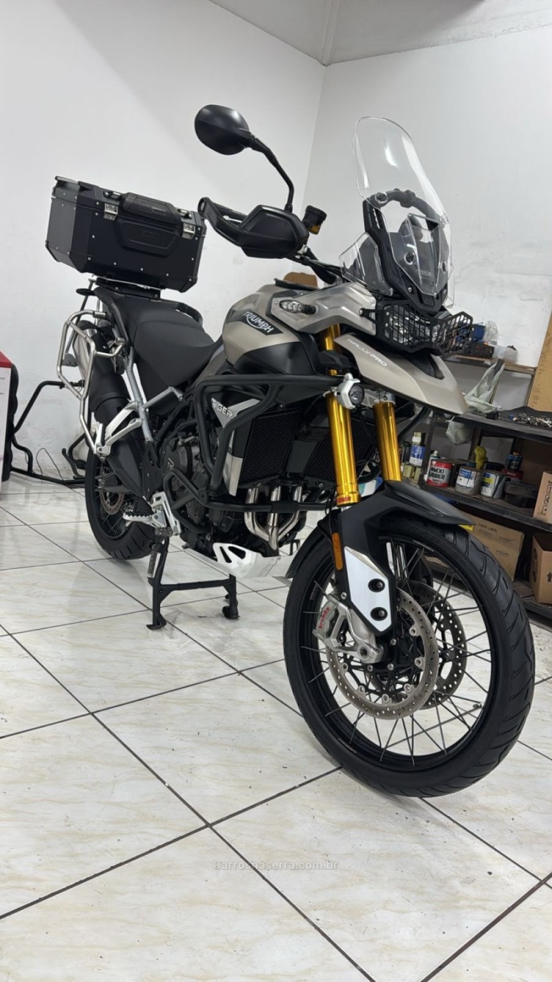 tiger 900 rally pro  2023 caxias do sul