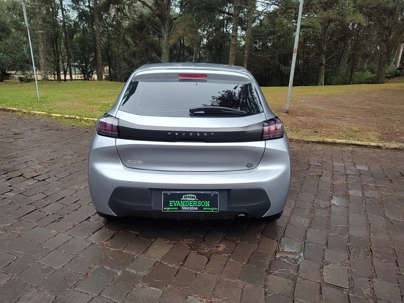 208 1.0 FIREFLY FLEX LIKE MANUAL - 2024 - CAXIAS DO SUL