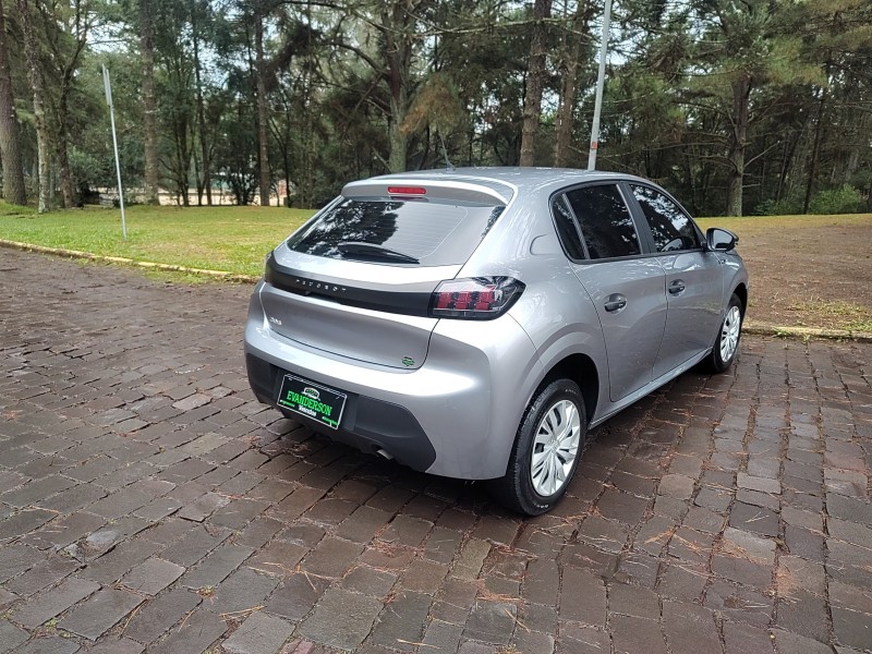 208 1.0 FIREFLY FLEX LIKE MANUAL - 2024 - CAXIAS DO SUL
