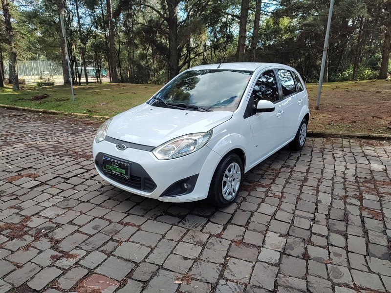 fiesta 1.6 rocam hatch 8v flex 4p manual 2014 caxias do sul