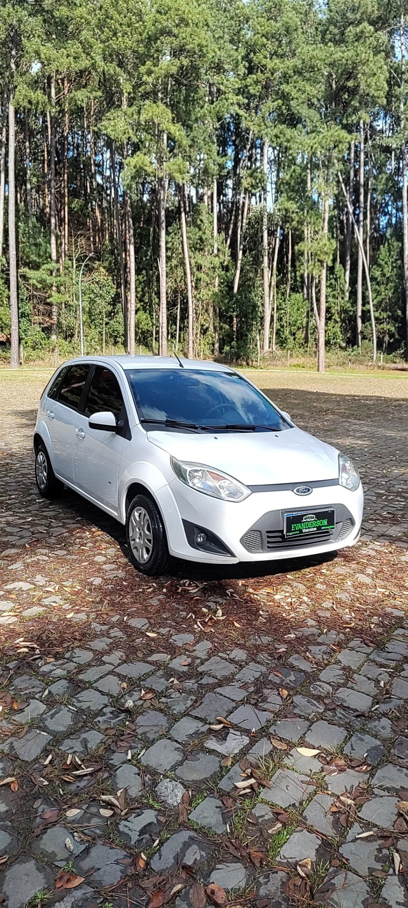 FIESTA 1.6 ROCAM HATCH 8V FLEX 4P MANUAL - 2014 - CAXIAS DO SUL