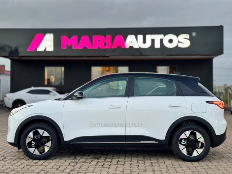 EX2 MAX 39,4 KW ELÉTRICO 4P AUTOMÁTICO - 2026 - TORRES