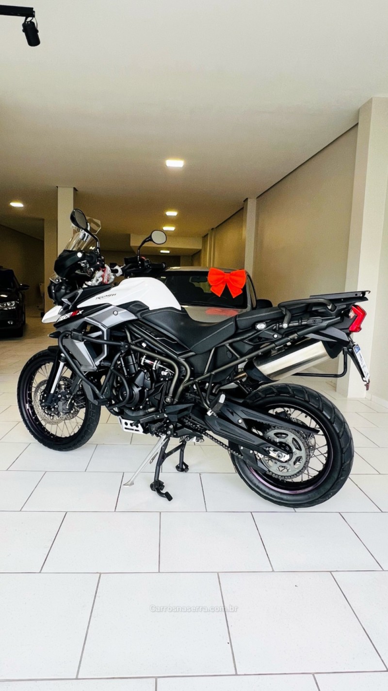 tiger 800 xcx  2015 garibaldi