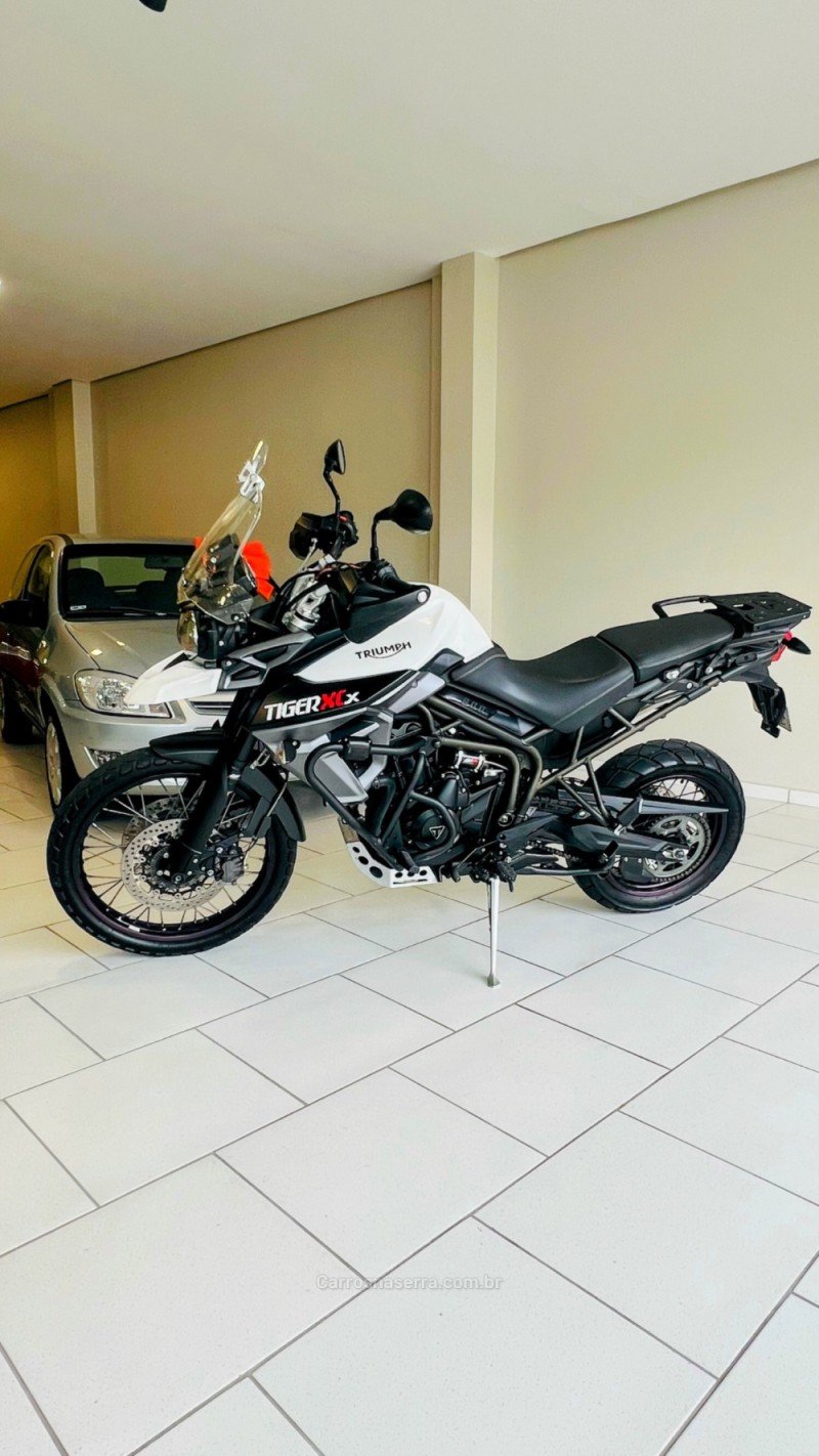 TIGER 800 XCX  - 2015 - GARIBALDI