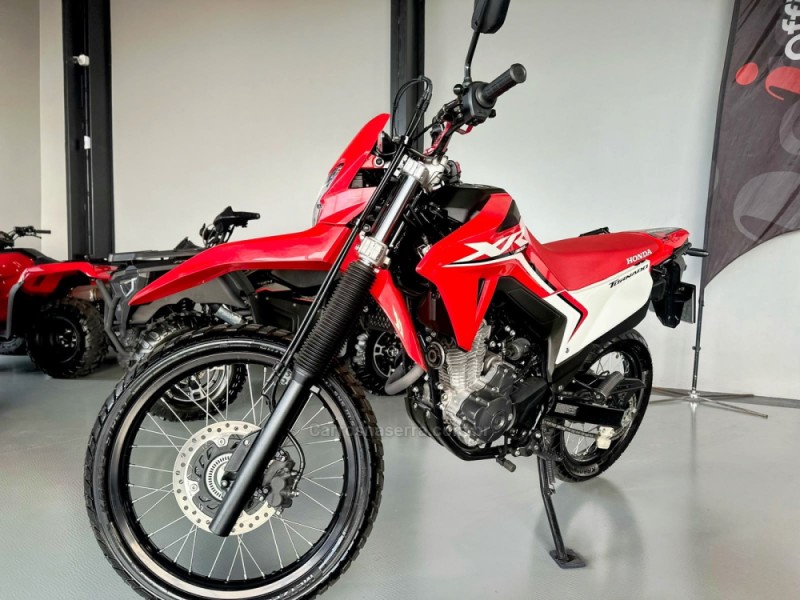 xr 300l tornado  2026 tres coroas