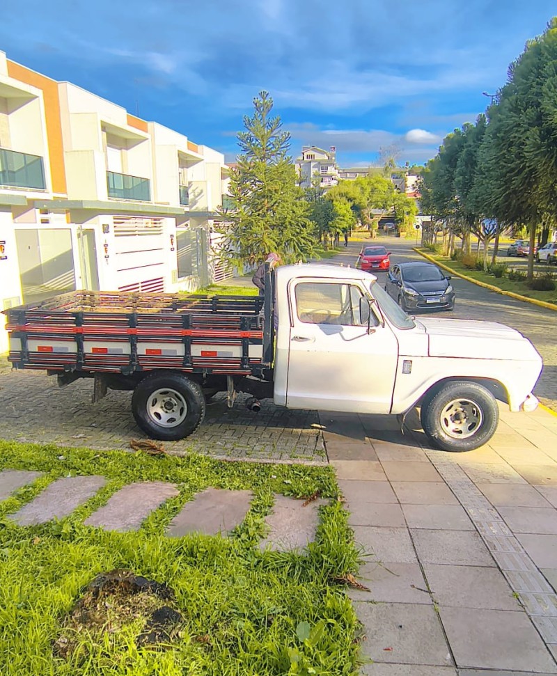 A10 2.5 DE LUXE CS 12V ÁLCOOL 2P MANUAL - 1980 - FARROUPILHA