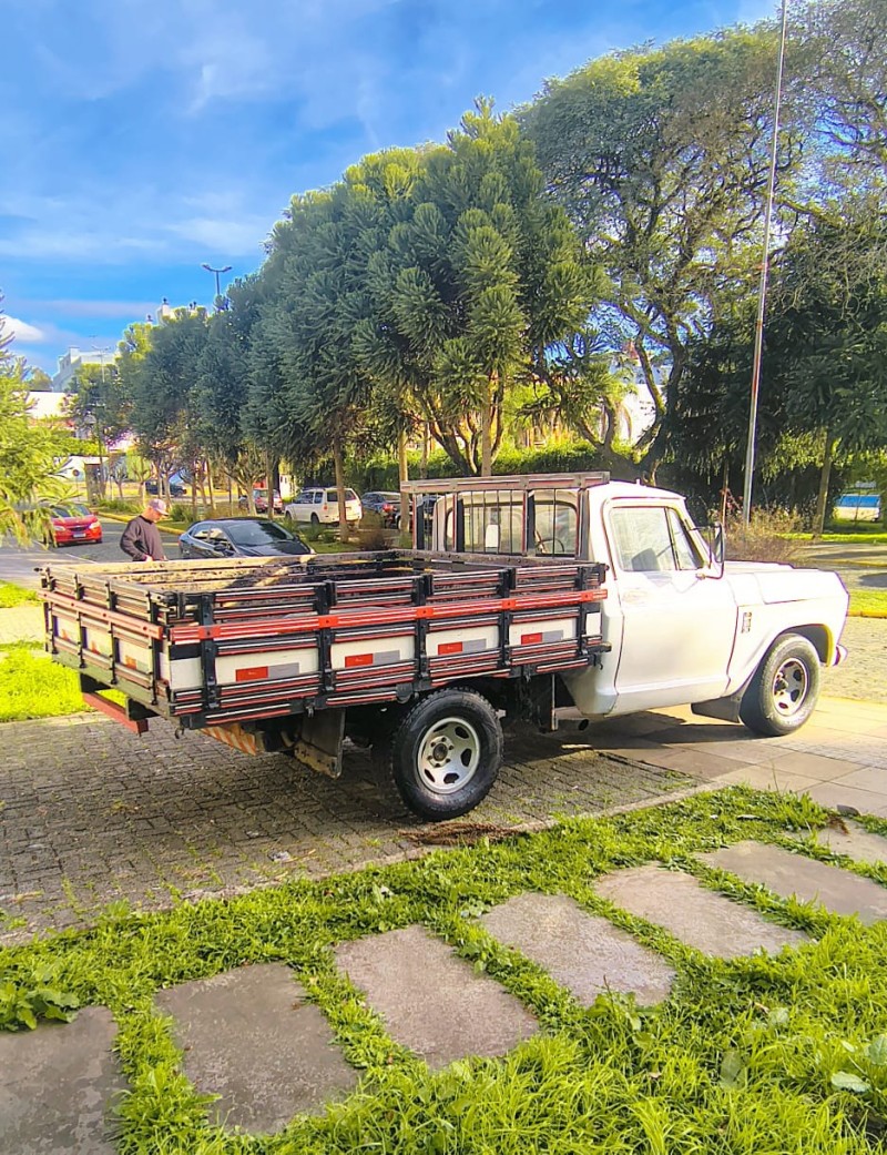 A10 2.5 DE LUXE CS 12V ÁLCOOL 2P MANUAL - 1980 - FARROUPILHA