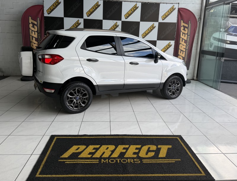 ECOSPORT 1.6 FREESTYLE 16V FLEX 4P MANUAL - 2013 - PORTãO