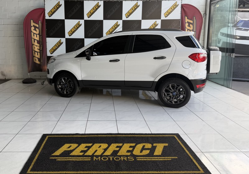 ECOSPORT 1.6 FREESTYLE 16V FLEX 4P MANUAL - 2013 - PORTãO
