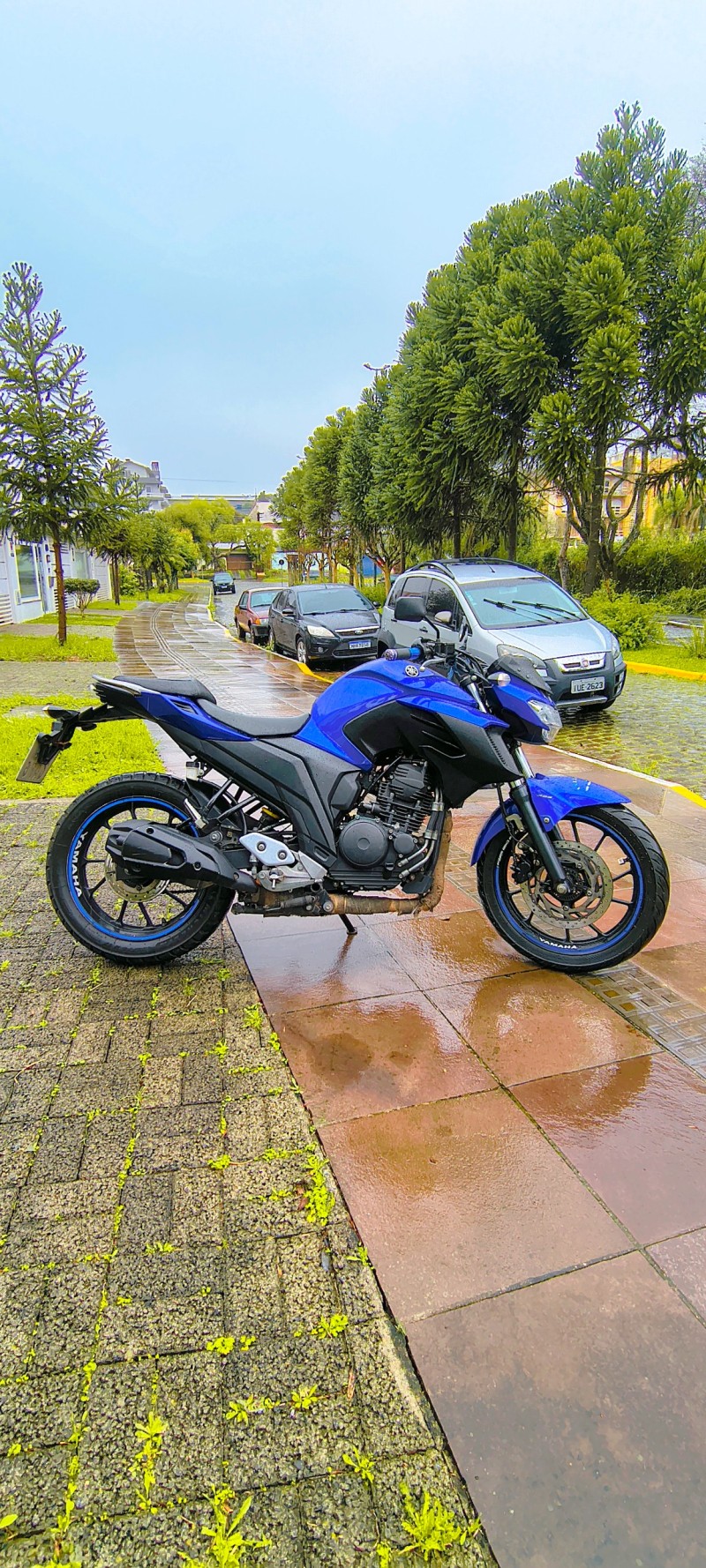 FAZER FZ25 - 2021 - FARROUPILHA