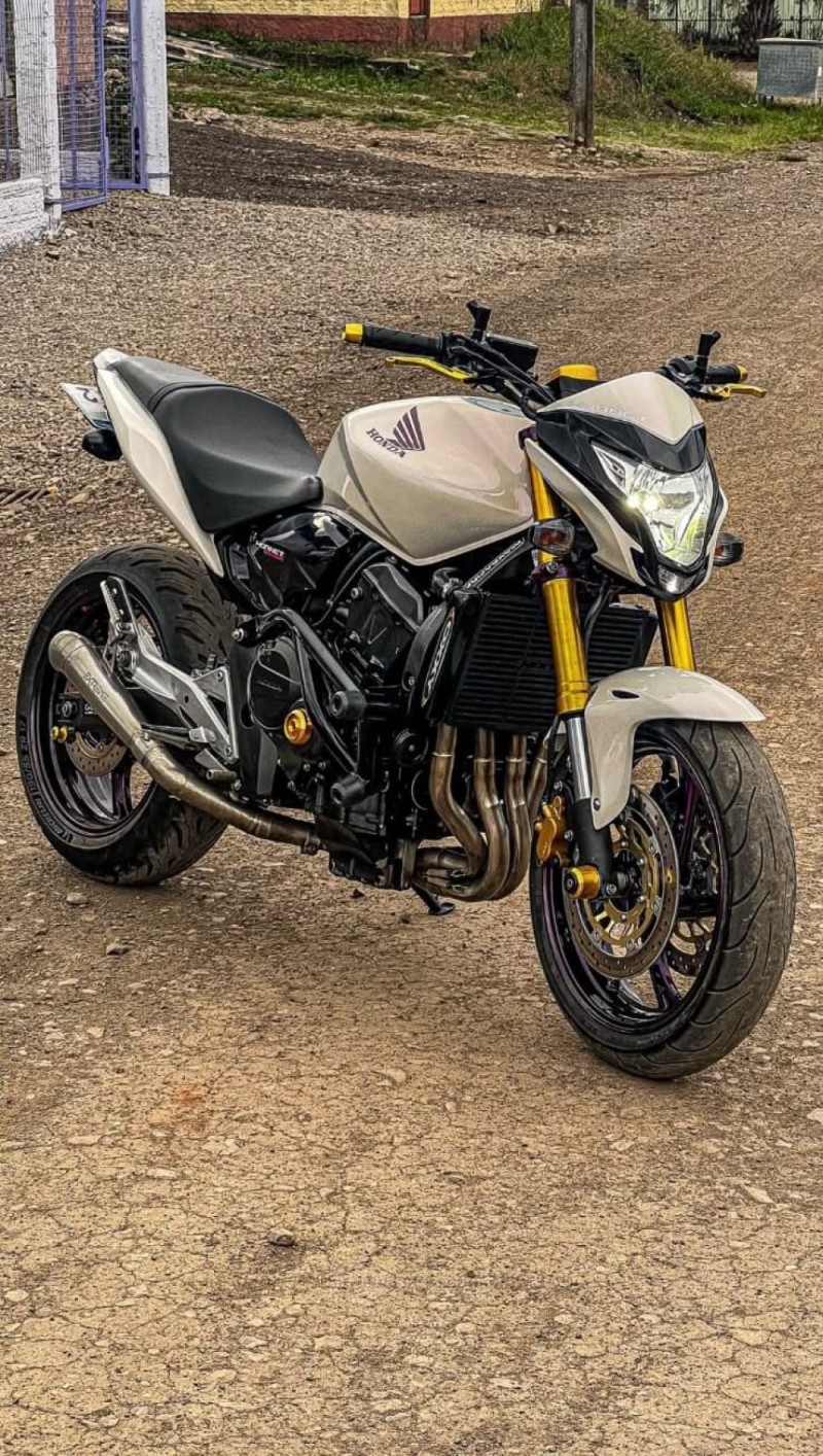 CB 600F HORNET - 2013 - VACARIA