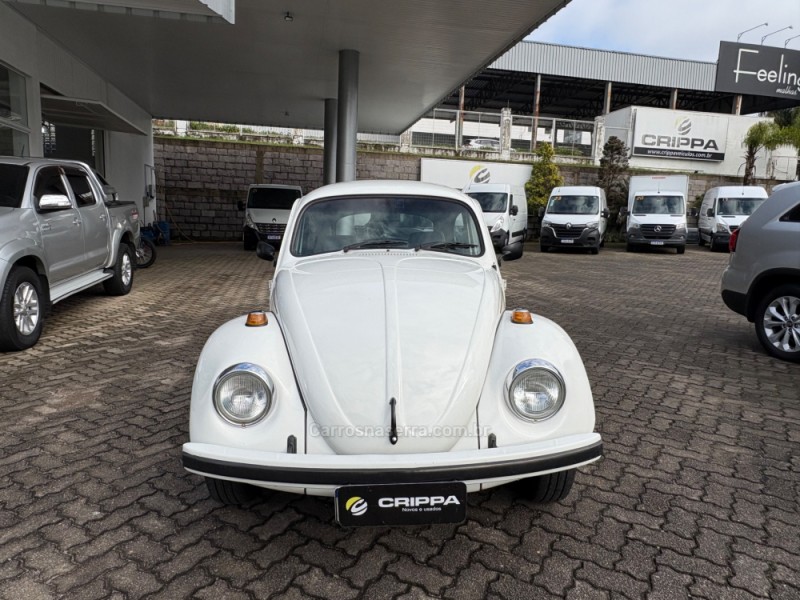 FUSCA 1.6 8V GASOLINA 2P MANUAL - 1994 - FARROUPILHA